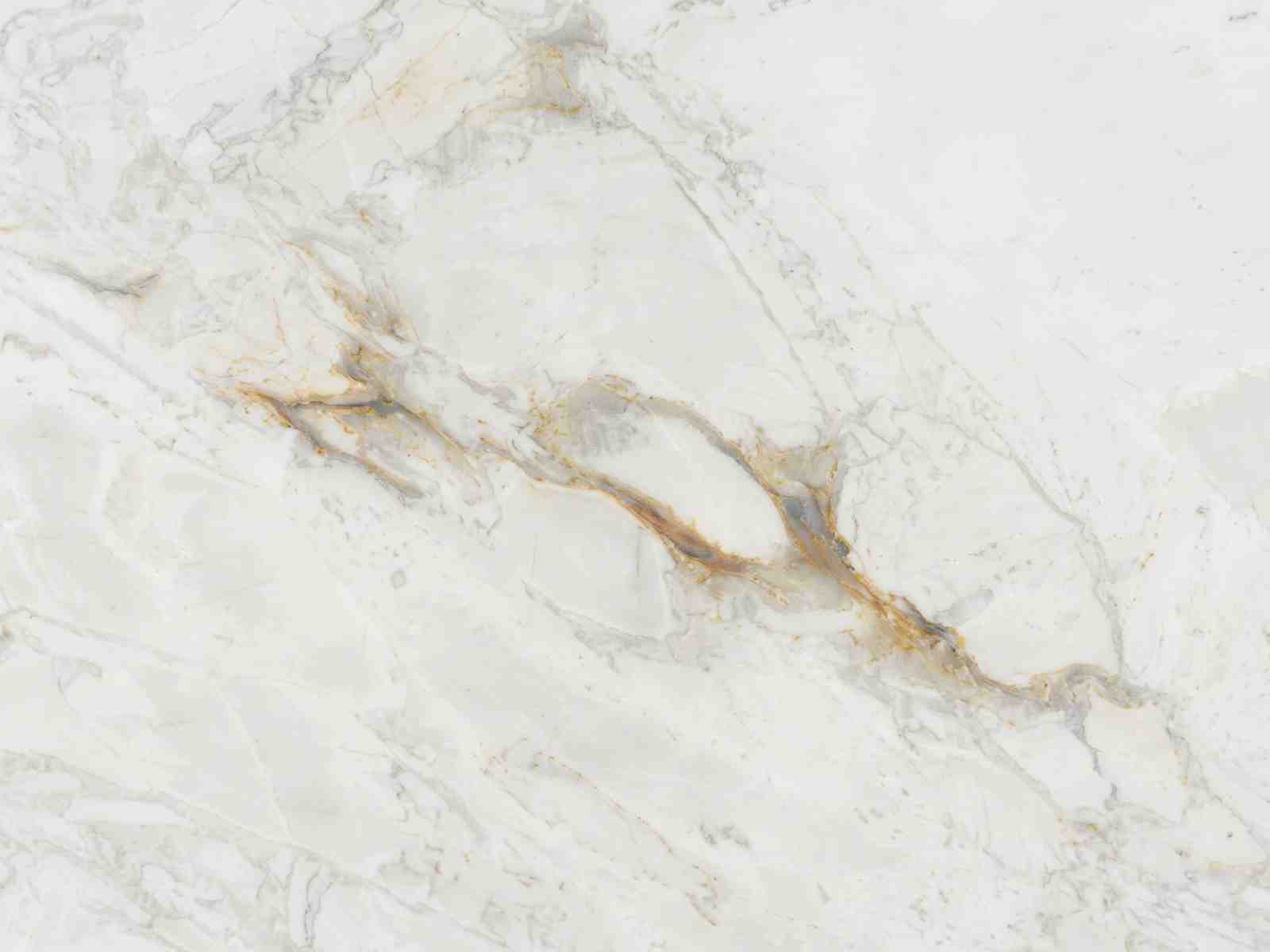 Calacatta Matarazzo — Detail