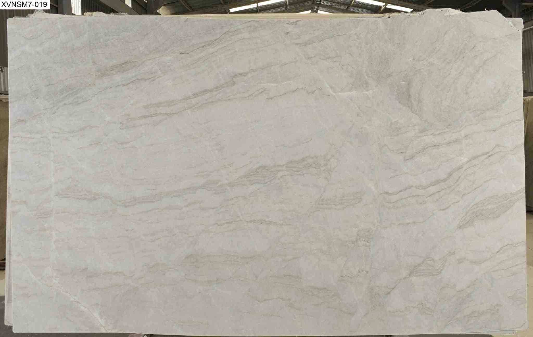 Perla Venata XVNSM7